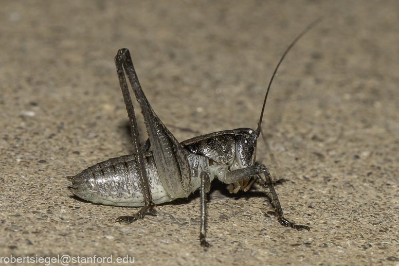 Big Bend National Park